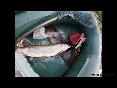Видео: Осеняя рыбалка на Щуку  Ишим  На тролинг, отличный отдых