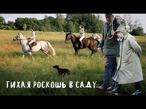 Видео: Тихая роскошь в саду