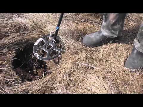 Видео: Поиск чешуи на выбитой корчме. Тесоро Тежон.