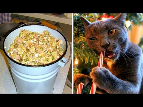 Видео: В поисках новогоднего настроения!