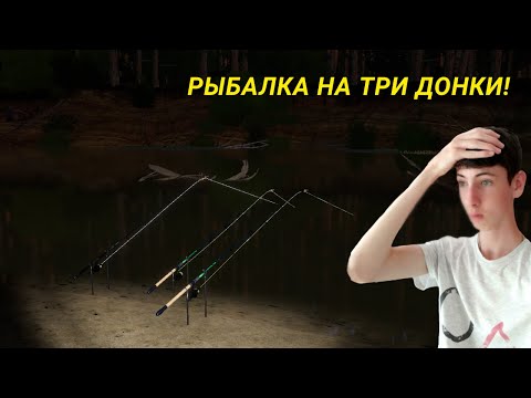 Видео: РЫБАЛКА НА ТРИ ДОНКИ! И ВОТ ЧТО МНЕ КЛЮНУЛО!