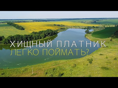 Видео: НА ПЛАТНИКЕ легко ЛОВИТЬ? СЕЙЧАС ПРОВЕРИМ!!!