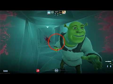 Видео: ПРЯТКИ В ДОМЕ ШРЕКА!!! УГАРНЫЙ МАНЬЯК В CS2!!!