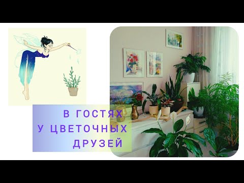 Видео: Обзор растений в гостях у подруги Виктории/Волгоград