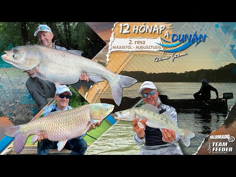 Видео: Döme Gábor - 12 месяцев на Дунае 2. серия – Май - Август