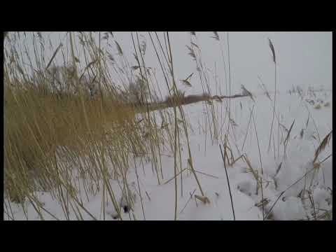 Видео: бывает и такое №2