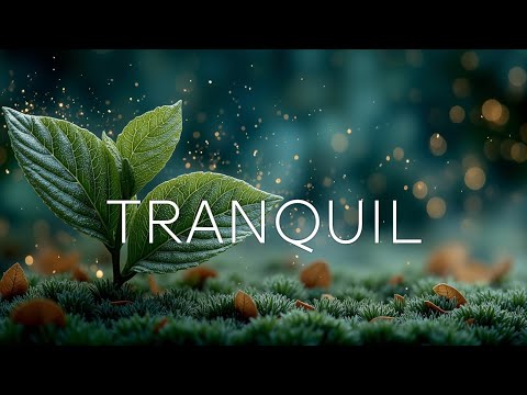 Видео: Acoustic Guitar for Deep Stress Relief ~ Спокойная гитарная музыка для исцеления тревоги