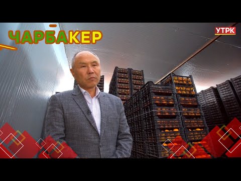 Видео: Дыйкандар үчүн 22 млн. сомго  курулган  кампа // ЧАРБАКЕР