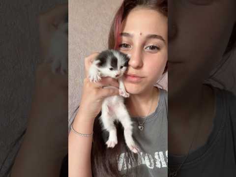 Видео: КАК ВЫРОСЛИ #shorts