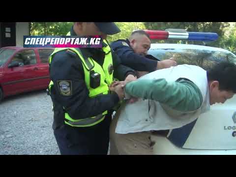 Видео: Незаконное использование ГБО, тонирование стекол, прямоток и НС. Спецрепортаж-патруль. Выпуск-67