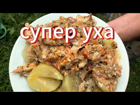 Видео: СУПЕР УХА или РЫБНЫЙ СОУС или РЫБНОЕ БЛЮДО на ВСЕ ВАРИАНТЫ. Хутор LV #уха #рыба #хек #суп