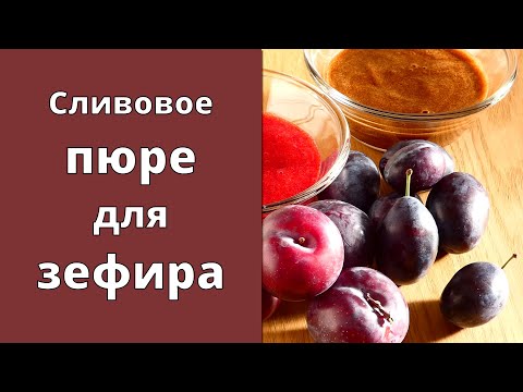 Видео: СЛИВОВОЕ пюре для ЗЕФИРА из двух РАЗНЫХ сортов слив. Ищем отличия