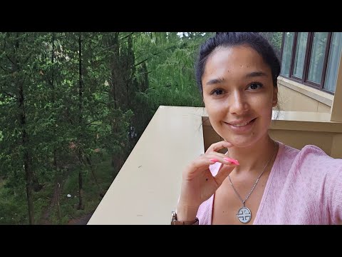 Видео: КАКОЙ ПРЕКРАСНЫЙ ДЕНЬ | ПРЯМОЙ ЭФИР