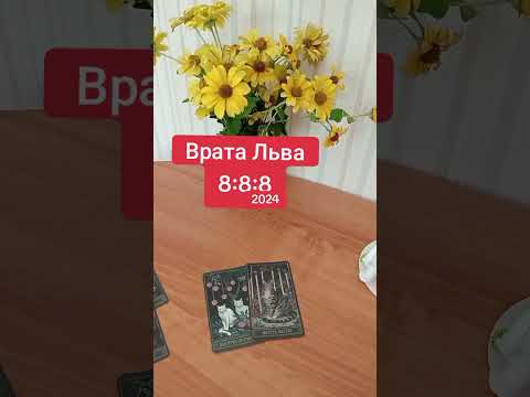 Видео: врата Льва 8:8:8