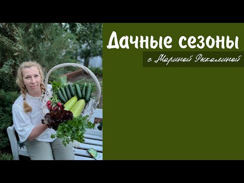 Видео: Дачные сезоны с Мариной Рыкалиной от 22 июня 2023 года
