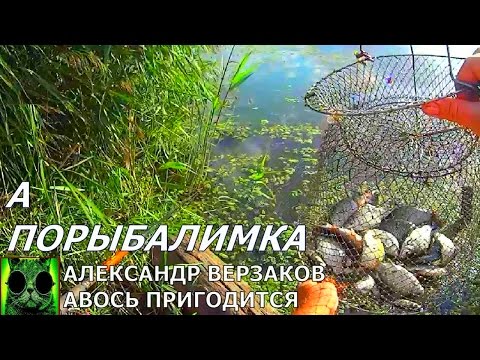 Видео: Отчет о рыбалке. Река Тузлов под Новочеркасском.