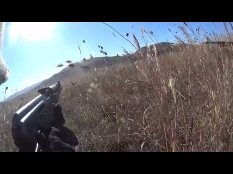 Видео: Вежба на Е.С.З. Тигар