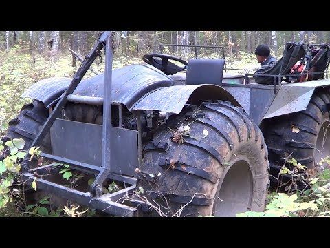 Видео: ДЕЛА ЛЕСНЫЕ Чага, Солонец, Фотоловушка, Металлокоп, Лоси на солонце.