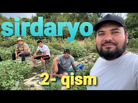 Видео: BALIQ OVI || SIRDARYO || Рыбалка бу оби-хаёт #repost #рыбалка #toshkent #uzbeksila