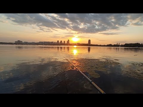 Видео: Рыбалка на Боковой кивок-Строгино МОСКВА река-Серебряный Бор!
