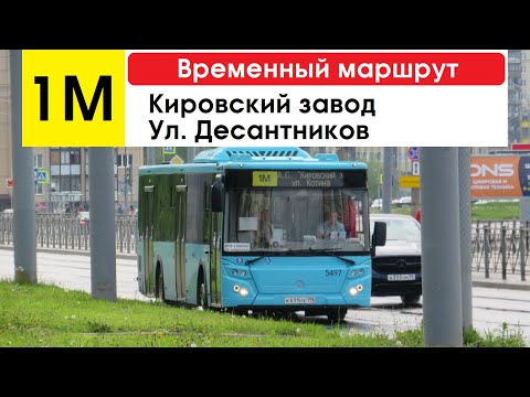 Видео: Автобус 1М "Кировский завод - ул. Десантников" (временный маршрут) (маршрут закрыт)