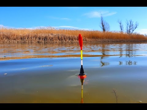 Видео: рыбалка на поплавок 2020 ОНИ ВИСЛИ ПО 2 ШТУКИ карась сазан