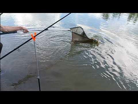 Видео: Ловля щуки на живца, на реке Чумыш.