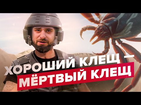 Видео: Как бороться с клещами? | Руководство по выживанию | Сортировочная