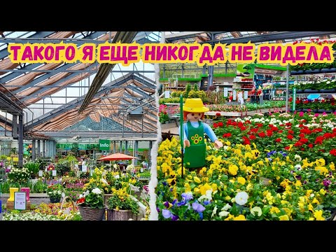 Видео: Как же меня восхитил этот садовый центр Augsburg Schwerte...огромный выбор для сада и огорода