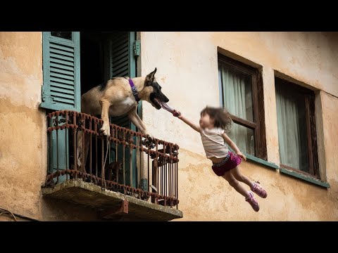 Видео: Вы Должны Это Увидеть! Эти Случаи С Животными Удалось Снять На Камеру