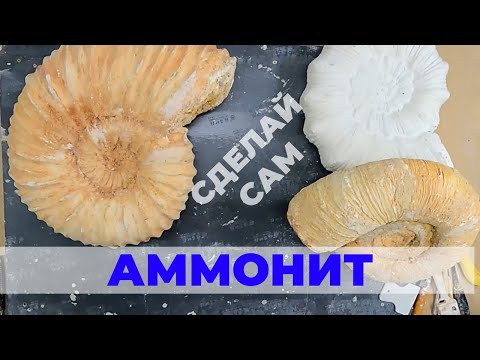 Видео: Аммонит. Интерьерная скульптура. Мастер класс. Сделай сам