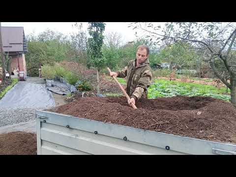 Видео: ГОЛУБИКА, ЭКОЛОГИЧЕСКИ ЧИСТАЯ??? 