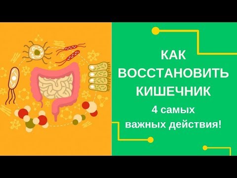 Видео: 🔥 Как Восстановить Кишечник?  4 самых важных действия!