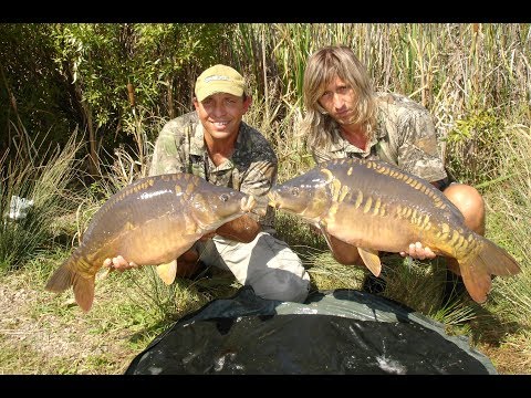 Видео: Трофейни шарани край София (Мало Бучино)