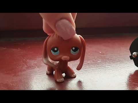 Видео: моя коллекция LPS за 2023 год . Последнее видео ?