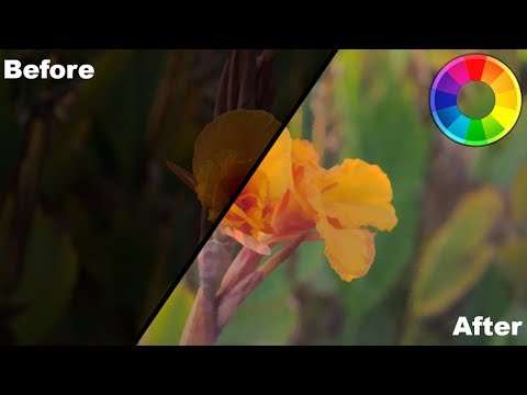 Видео: Использование инструмента «Обрезка» в Rawtherapee