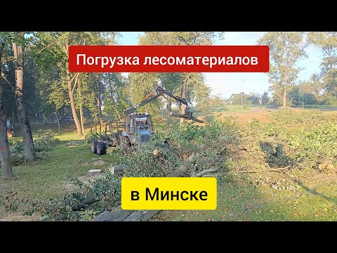 Видео: Как манипулятор грузит в Минске