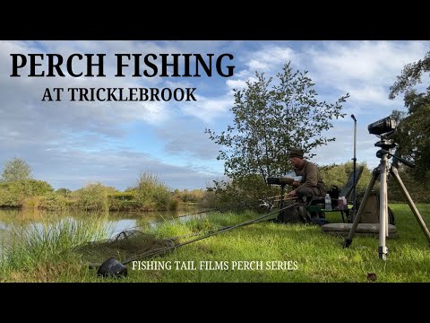 Видео: ЛОВЛЯ ОКУНЯ в Триклбруке на поплавочную удочку, лобстера и креветки #рыбалкаокуня