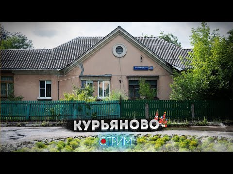 Видео: Курьяново – СТРИМ