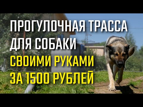 Видео: Как натянуть трос для прогулки собаки во дворе? Делаем сами. Дешево.