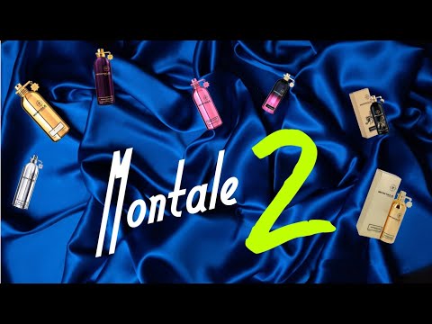 Видео: Shaik и Lara parfume ✨ Аналоги на Монталь🫶 481 и 204