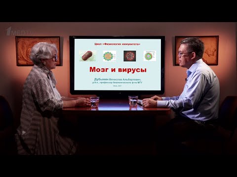 Видео: «Мозг и вирусы». Гость: Дубынин В.А.
