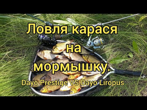 Видео: Ловля карася на мормышку.  Dayo Liropus 198 0.2-0.8 / Dayo Prestige 198 0.2-0.8.