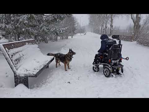 Видео: Весна 19 апреля - играем в снежки