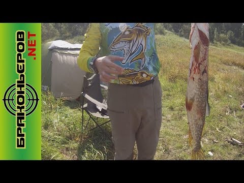 Видео: КВХ-Бирюсинский залив