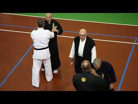 Видео: Сэнсэй Ямагучи Хироши