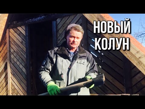 Видео: Кошка пробегала мимо и задела микрофон
