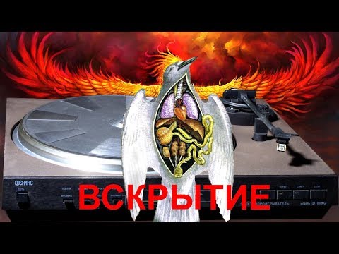 Видео: ФЕНИКС   2-я часть. Внутренности
