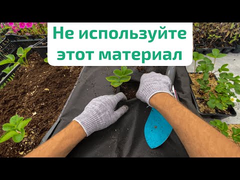 Видео: ПОСАДКА КЛУБНИКИ НА АГРОВОЛОКНО — черный укрывной материал