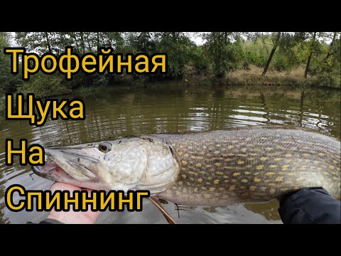 Видео: ПОЙМАЛ ОЗЕРНОГО МОНСТРА.Трофей клюнул в неожиданном месте.